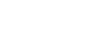 The Platform Group Logo